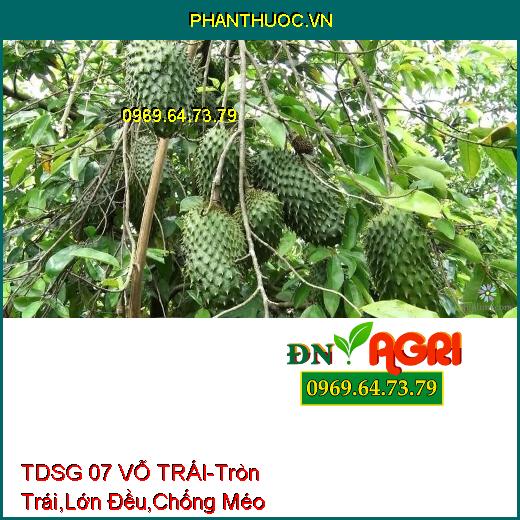 TDSG 07 VỖ TRÁI- Giúp Tròn Trái, Lớn Đều, Chống Méo, Chống Lép