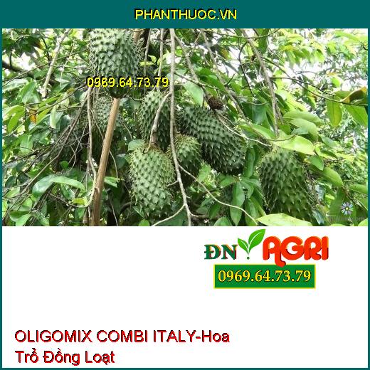 OLIGOMIX COMBI ITALY- Hoa Trổ Đồng Loạt, Tăng Đậu Trái, Chống Vàng Lá