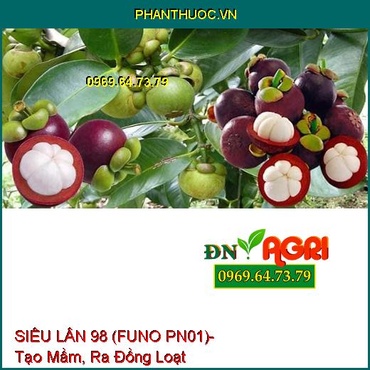 SIÊU LÂN 98 (FUNO PN01)- Chuyên Gia Tạo Mầm, Ra Đồng Loạt, Chắc Chắn