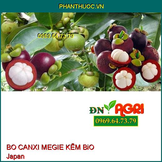 BO CANXI MEGIE KẼM BiO JaPan- Khắc Phục Cây Thiếu Kẽm, Bo, Đồng, Magie, Canxi