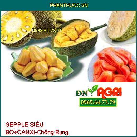 SEPPLE SIÊU BO+CANXI - Chống Rụng Bông, Rụng Trái, Tạo Nhiều Múi