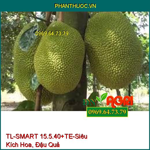 TL-SMART 15.5.40+te - Siêu Kích Hoa, Đậu Quả Đồng Loạt