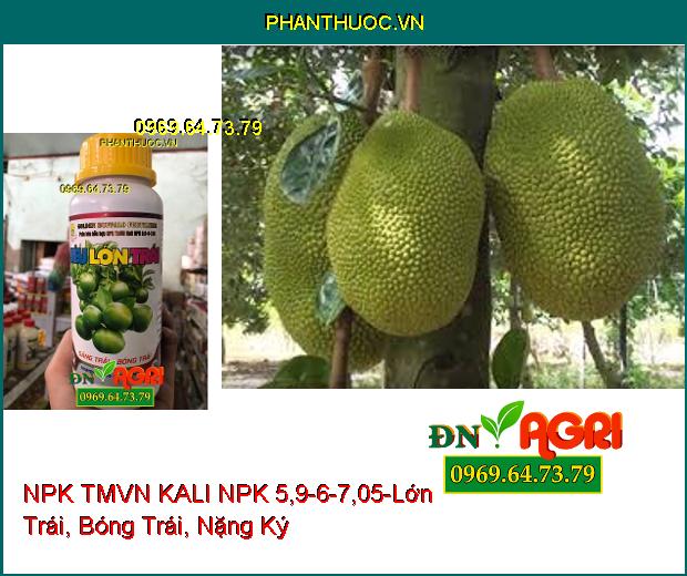 PHÂN BÓN HỖN HỢP NPK TMVN KALI NPK 5,9-6-7,05-Trái Lớn, Giảm Nứt Trái, Da Lu