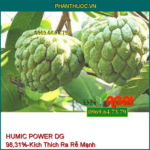 HUMIC POWER DG 98,31%- Phân Bón Hữu Cơ Kích Thích Ra Rễ Cực Mạnh