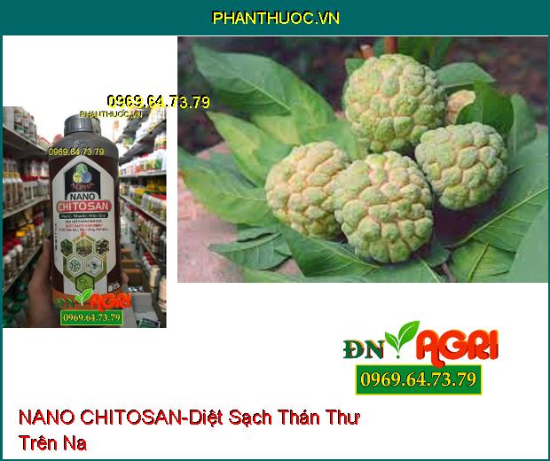 NANO CHITOSAN –Quét Sạch Thán Thư, Nấm Hồng, Các Loại Nấm Bệnh