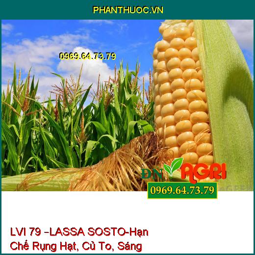 PHÂN BÓN HỖN HỢP NPK LVI 79 –LASSA SOSTO-Hạn Chế Rụng Hạt, Đen Lép, Củ To, Sáng