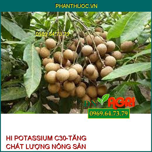 PHÂN BÓN LÁ HỮU CƠ KHOÁNG HI POTASSIUM C30 – TĂNG QUANG HỢP – TĂNG SỨC ĐỀ KHÁNG – TĂNG CHẤT LƯỢNG NÔNG SẢN