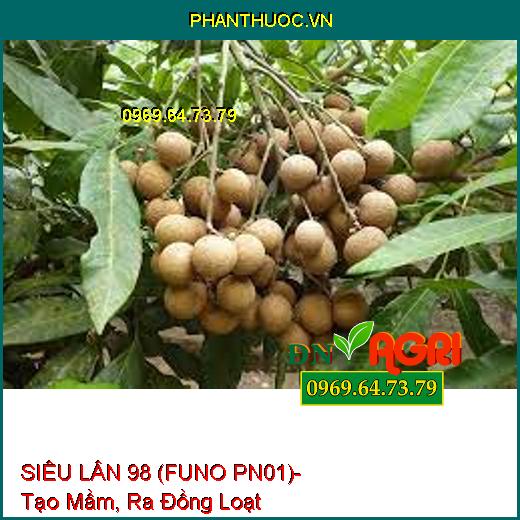 SIÊU LÂN 98 (FUNO PN01)- Chuyên Gia Tạo Mầm, Ra Đồng Loạt, Chắc Chắn