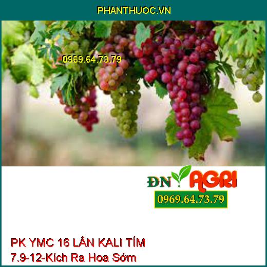 PK YMC 16 LÂN KALI TÍM 7.9-12 - Kích Thích Ra Hoa Sớm, Ra Hoa Đồng Loạt