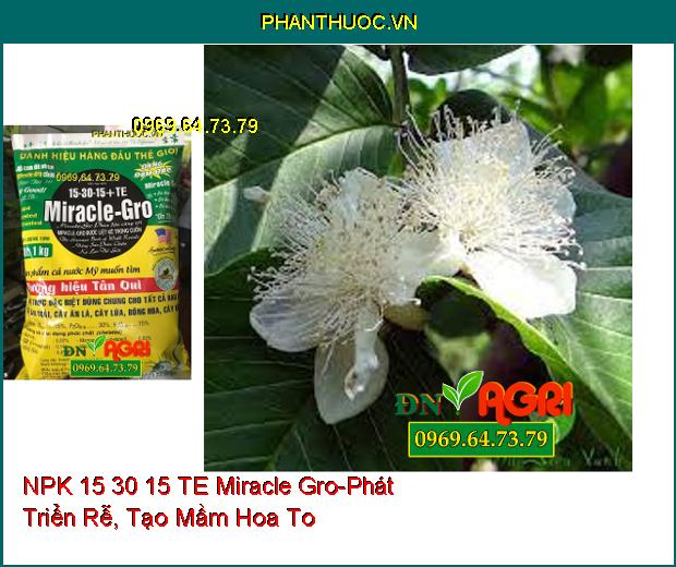 PHÂN BÓN HỖN HỢP NPK 15 30 15 TE Miracle Gro-Phát Triển Rễ , Hạn Chế Rụng Trái Non