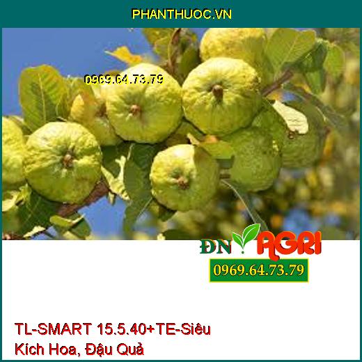 TL-SMART 15.5.40+te - Siêu Kích Hoa, Đậu Quả Đồng Loạt