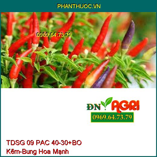 TDSG 09 PAC 40-30+BO Kẽm- Bung Hoa Mạnh, Kích Ra Hoa Đồng Loạt, Đậu Trái Cao