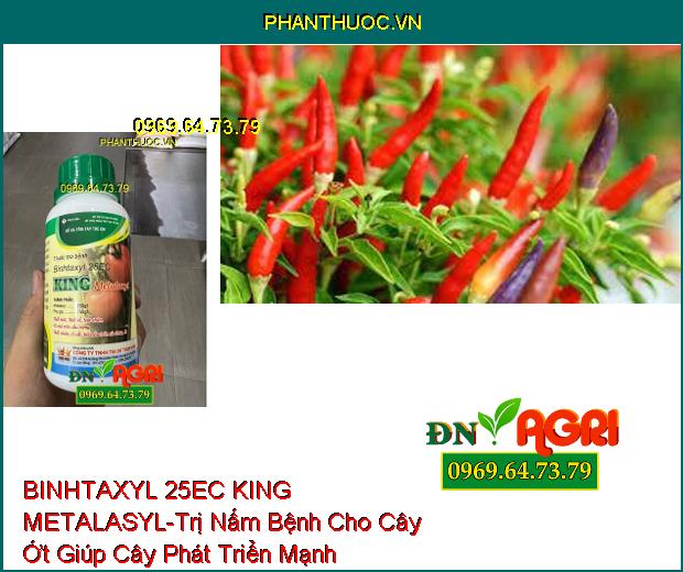 THUỐC TRỪ BỆNH BINHTAXYL 25EC KING METALASYL- Trị Nấm, Thối Trái, Thối Rễ, Nứt Thân, Thối Nhũn