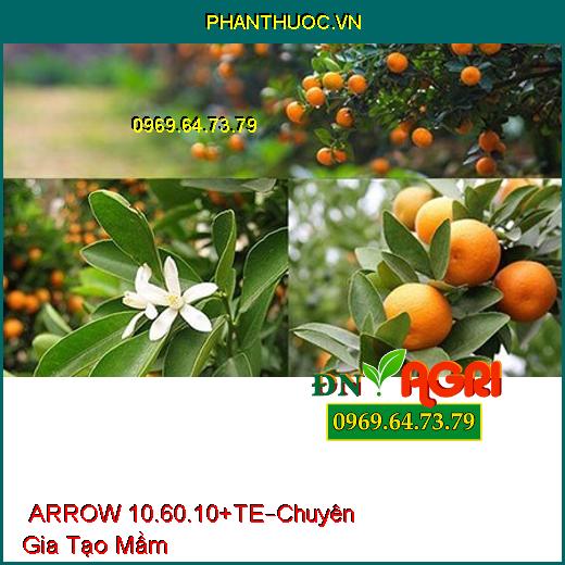 PHÂN BÓN LÁ HỖN HỢP NPK ARROW 10.60.10+TE –Chuyên Gia Tạo Mầm, Hạn Chế Sâu Bệnh