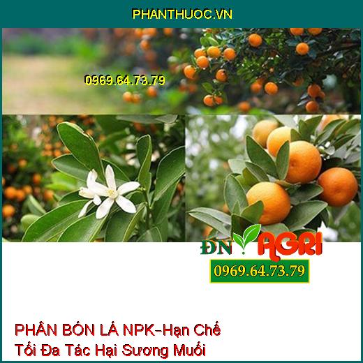 PHÂN BÓN LÁ NPK SINH HỌC –Hạn Chế Tối Đa Tác Hại Sương Muối, Hạt Lớn Đồng Đều