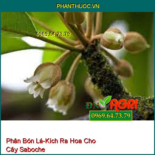 PHÂN BÓN LÁ KÍCH THÍCH RA HOA, ĐẬU TRÁI TỔNG HỢP