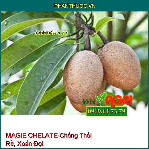 SIÊU KẼM MAGIE CHELATE - Chống Thối Rễ, Xoắn Đọt