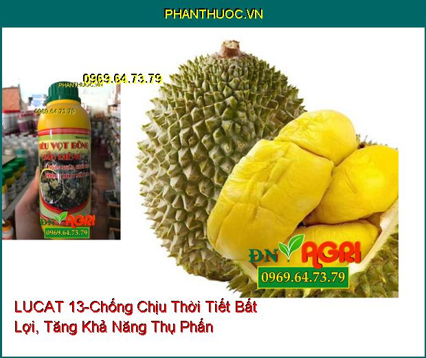 PHÂN BÓN LÚA LUCAT 13 –Chống Chịu Thời Tiết Bất Lợi, Tăng Khả Năng Thụ Phấn