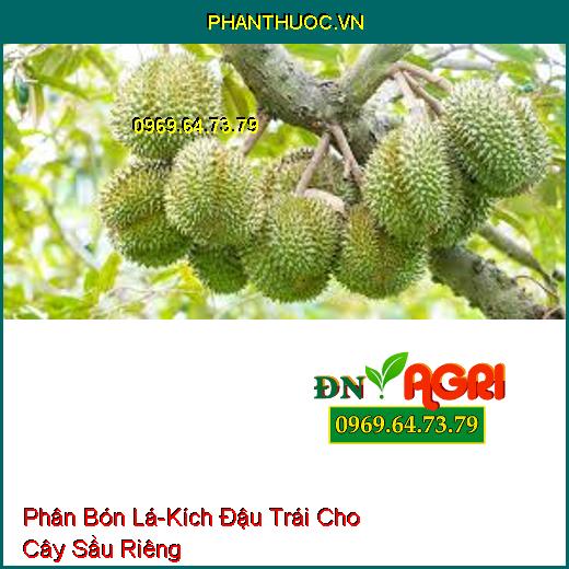 PHÂN BÓN LÁ KÍCH THÍCH RA HOA, ĐẬU TRÁI TỔNG HỢP