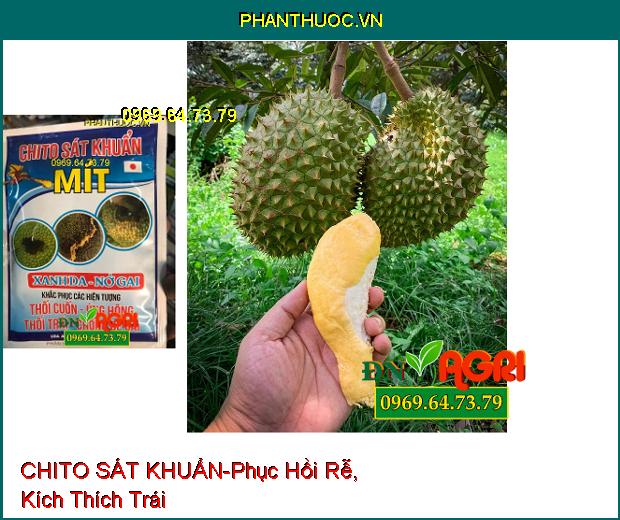 PHÂN BÓN VI LUỢNG CHITO SÁT KHUẨN-Phục Hồi Rễ, Kích Thích Trái