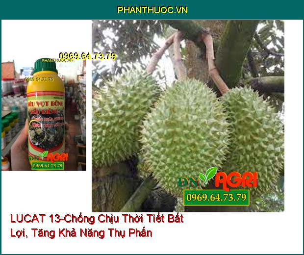 PHÂN BÓN LÚA LUCAT 13 –Chống Chịu Thời Tiết Bất Lợi, Tăng Khả Năng Thụ Phấn