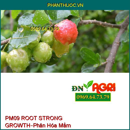 PHÂN BÓN LÁ PM09 ROOT STRONG GROWTH –Giúp Cây Phân Hóa Mầm, Ra Hoa Đồng Loạt