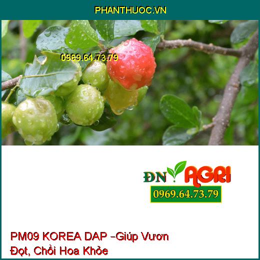 PHÂN BÓN LÁ PM09 KOREA DAP –Giúp Vươn Đọt, Chồi Hoa Khỏe, Tăng Ra Hoa, Đậu Trái