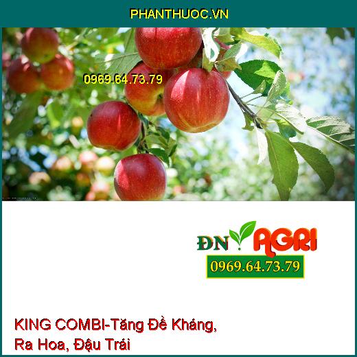 PHÂN BÓN TRUNG VI LƯỢNG KING COMBI-Tăng Đề Kháng, Giải Độc, Ra Hoa, Đậu Trái