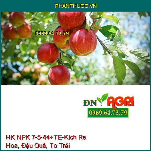 PHÂN BÓN HỢP TRÍ HK NPK 7-5-44+TE-Kích Ra Hoa, Đậu Quả, To Trái