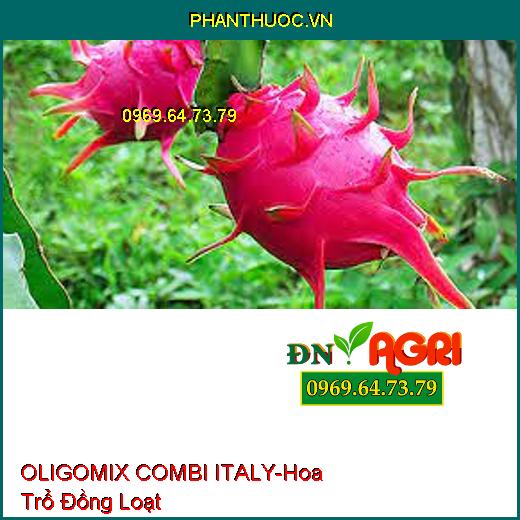 OLIGOMIX COMBI ITALY- Hoa Trổ Đồng Loạt, Tăng Đậu Trái, Chống Vàng Lá