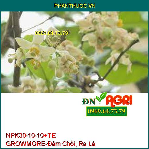 PHÂN BÓN LÁ NPK 30-10-10 +TE GROWMORE- Đẻ Nhánh, Đâm Chồi, Ra Lá Tốt