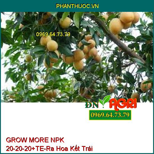 GROW MORE NPK 20-20-20+TE-Giúp Phân Hóa Mầm Hoa, Ra Hoa Kết Trái