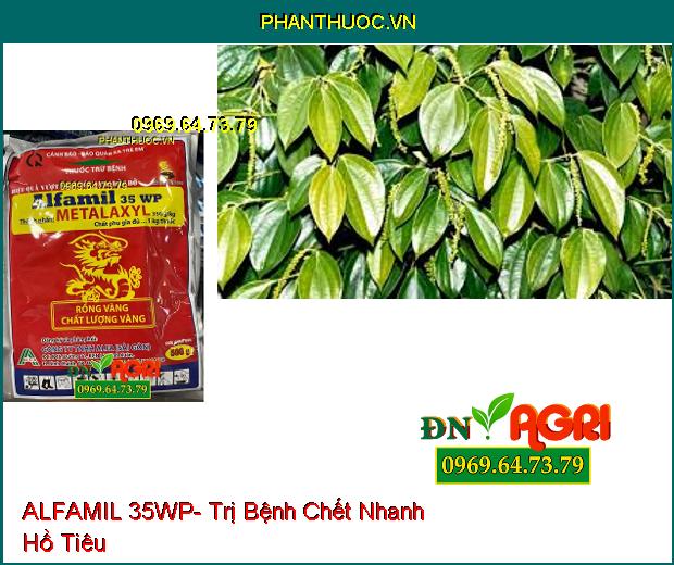 THUỐC TRỪ BỆNH ALFAMIL 35WP- Lưu Dẫn Cực Mạnh, Đặc Trị Hồ Tiêu Chết Nhanh