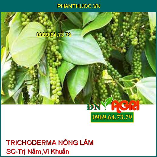 PHÂN VI SINH CAO CẤP TRICHODERMA NÔNG LÂM SC-Trị Nấm Và Vi Khuẩn