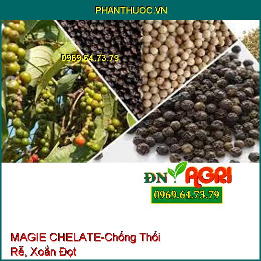 SIÊU KẼM MAGIE CHELATE - Chống Thối Rễ, Xoắn Đọt