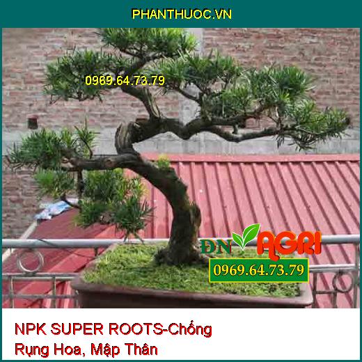 NPK SUPER ROOTS Sữa Dinh Dưỡng- Chống Rụng Hoa, Mập Thân, Dày Lá, Dày Hoa