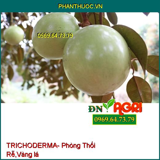 TRICHODERMA- Phòng Thối Rễ, Bật Chồi, Vàng lá, Chống Chết Cây