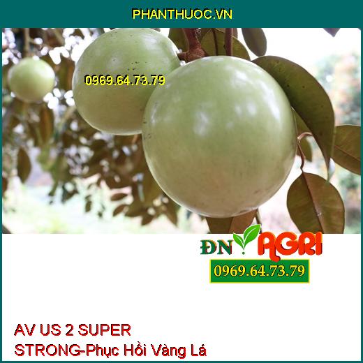 AV US 2 SUPER STRONG - Phục Hồi Vàng Lá, Kích Ra Hoa, Lớn Trái, Đẻ Nhánh