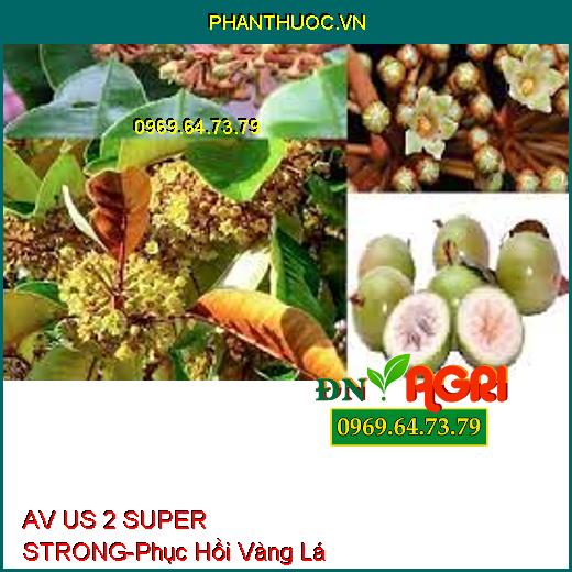 AV US 2 SUPER STRONG - Phục Hồi Vàng Lá, Kích Ra Hoa, Lớn Trái, Đẻ Nhánh