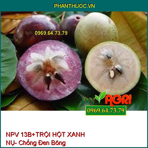 NPV 13B+ TRỘI HỘT XANH NỤ- Chống Đen Bông, Tạo Nhiều Hoa,Dưỡng Trái Non