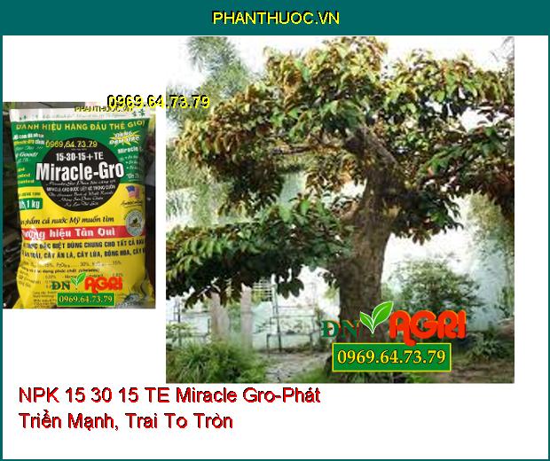 PHÂN BÓN HỖN HỢP NPK 15 30 15 TE Miracle Gro-Phát Triển Rễ , Hạn Chế Rụng Trái Non