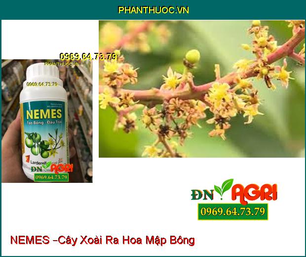 PHÂN BÓN VI LƯỢNG – NEMES –Mập Bông, Đậu Trái Non, Tạo Trái Đều