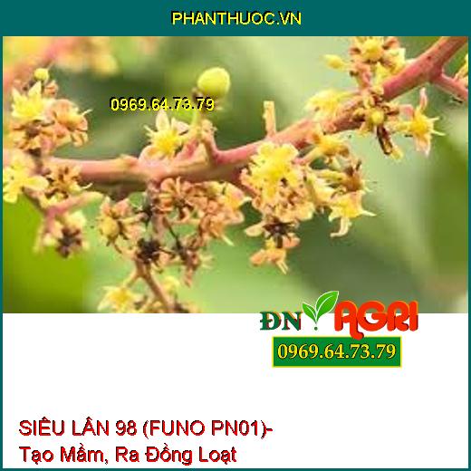 SIÊU LÂN 98 (FUNO PN01)- Chuyên Gia Tạo Mầm, Ra Đồng Loạt, Chắc Chắn