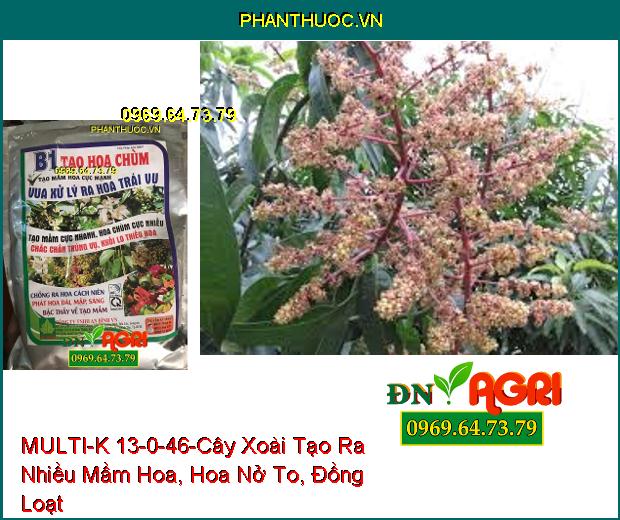 PHÂN BÓN LÁ CAO CẤP MULTI-K 13-0-46-Tăng Năng Suất, Tăng Độ Ngọt