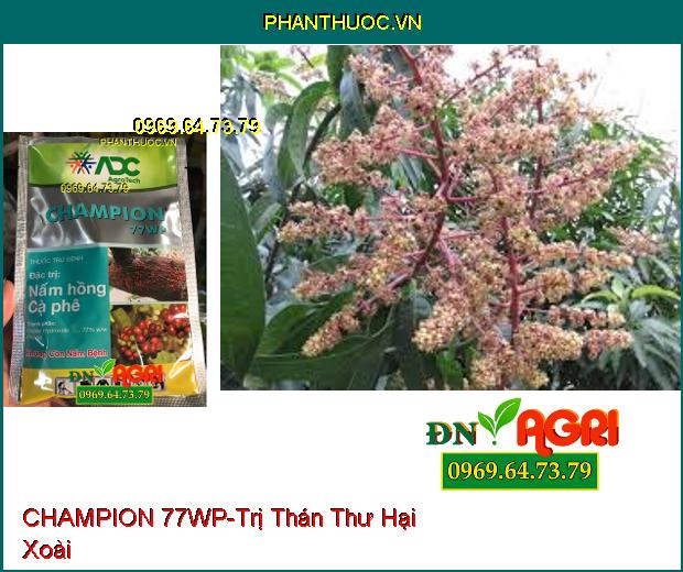 THUỐC TRỪ BỆNH CHAMPION 77WP – Phòng Trừ Các Loại Nấm, Vi Khuẩn Hại Cây