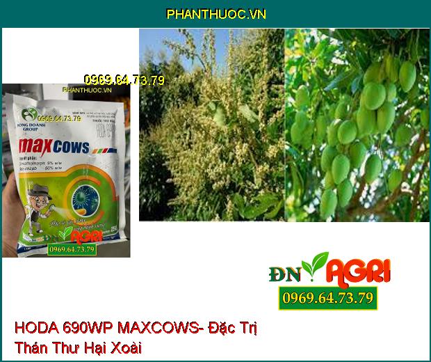 THUỐC TRỪ BỆNH HODA 690WP MAXCOWS- ĐẶC TRỊ THÁN THƯ, PHẤN TRẮNG GÂY HẠI TRÊN CÂY XOÀI