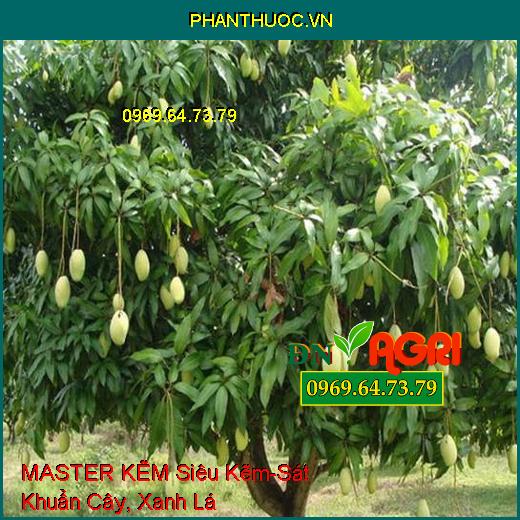 MASTER KẼM Siêu Kẽm - Sát Khuẩn Cây, Giúp Cây Xanh Lá, Cứng Cây