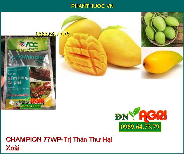 THUỐC TRỪ BỆNH CHAMPION 77WP – Phòng Trừ Các Loại Nấm, Vi Khuẩn Hại Cây