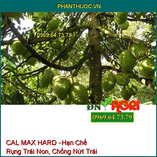 PHÂN BÓN LÁ TRUNG VI LƯỢNG CAL MAX HARD –Hạn Chế Rụng Trái Non, Chống Nứt Trái