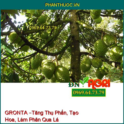 PHÂN BÓN LÁ TRUNG LƯỢNG GRONTA –Tăng Thụ Phấn, Tạo Hoa, Làm Phân Qua Lá Cho Cây